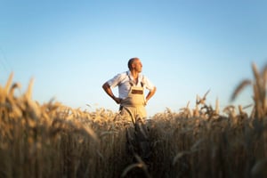 An elderly man stands confidently in a sunlit wheat field, hands on hips, beneath a clear blue sky, conveying a sense of pride and contentment.
