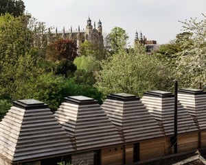 A row of cork made houses sit side by side with trees behind